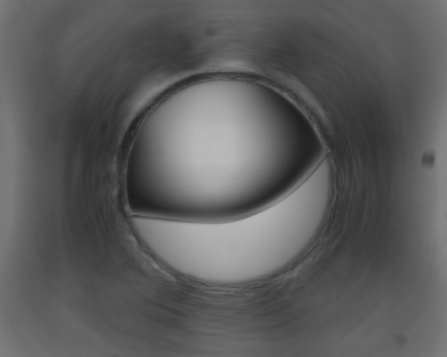 X0000093441364200710120937