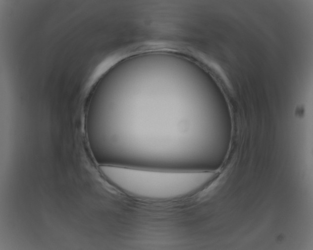 X0000093441365200710120937