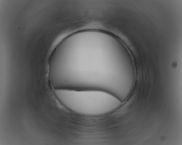 X0000093441366200710120937