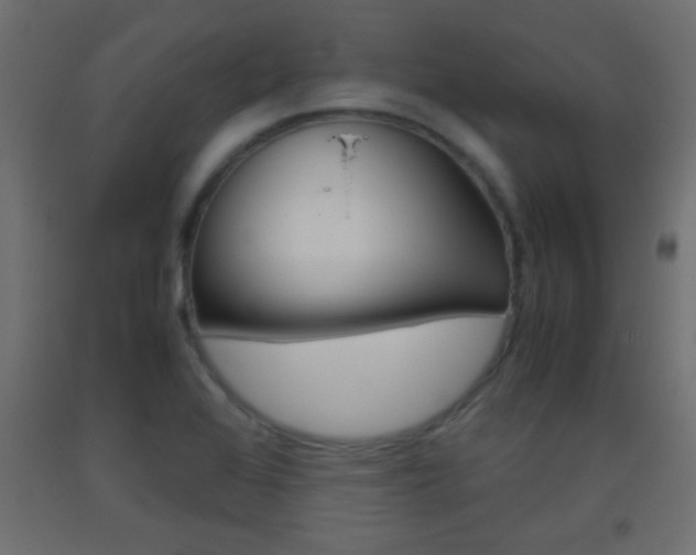 X0000093441368200710120937