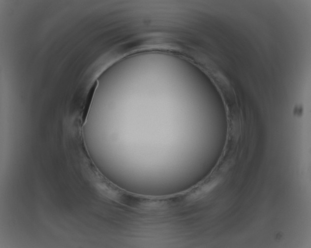 X0000093441369200710120937