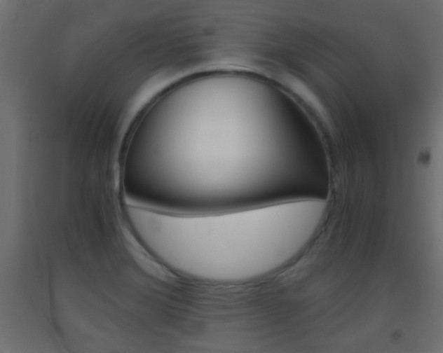 X0000093441372200710120937