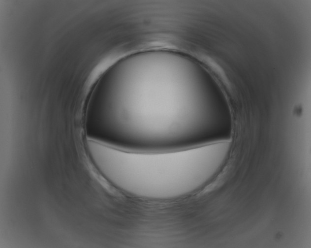 X0000093441373200710120937