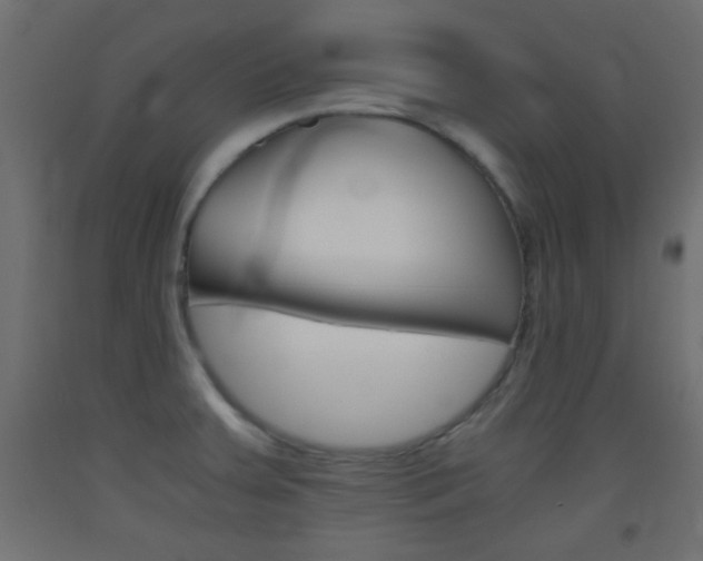 X0000093441379200710120937