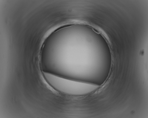 X0000093441381200710120937