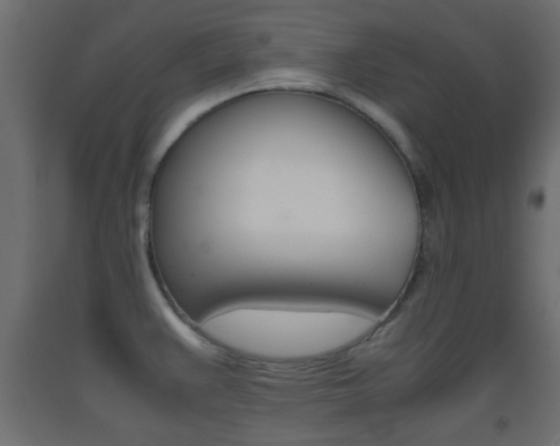 X0000093441383200710120937