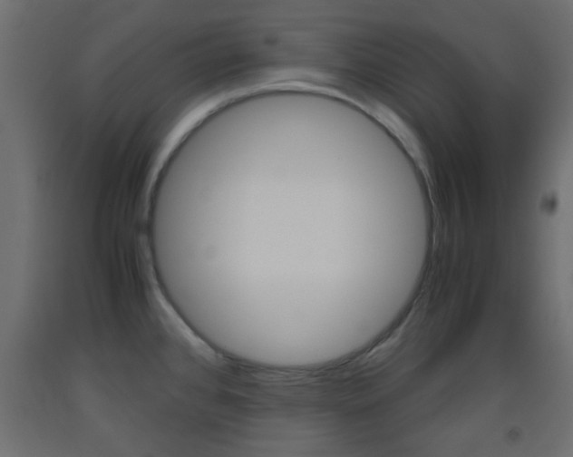 X0000093441384200710120937