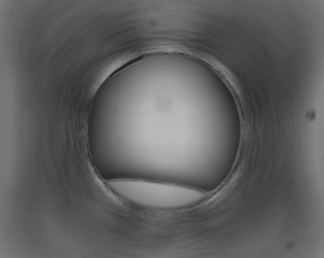 X0000093441385200710120937