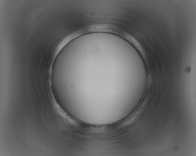 X0000093441386200710120937