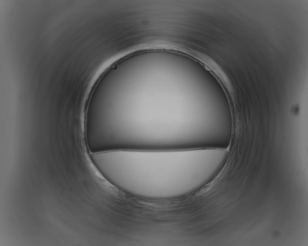 X0000093441388200710120937