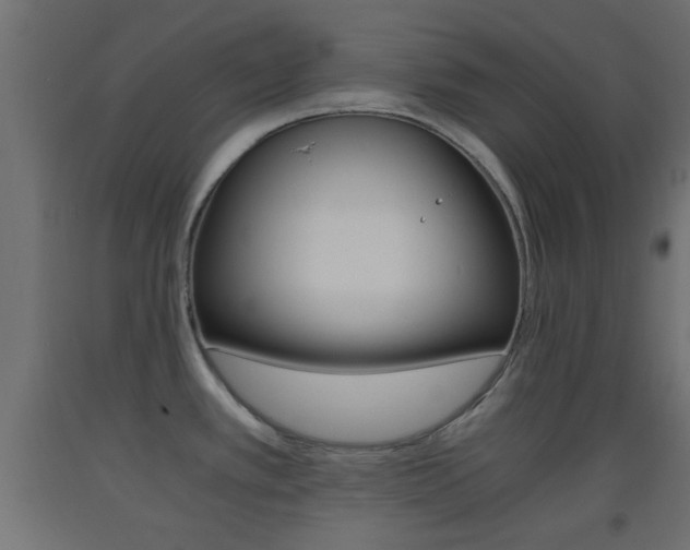 X0000093441389200710120937