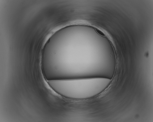 X0000093441390200710120937