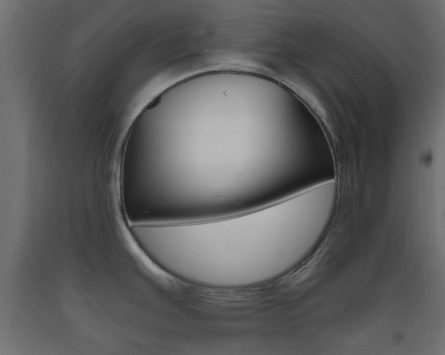 X0000093441391200710120937