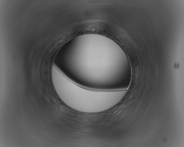 X0000093441394200710120936