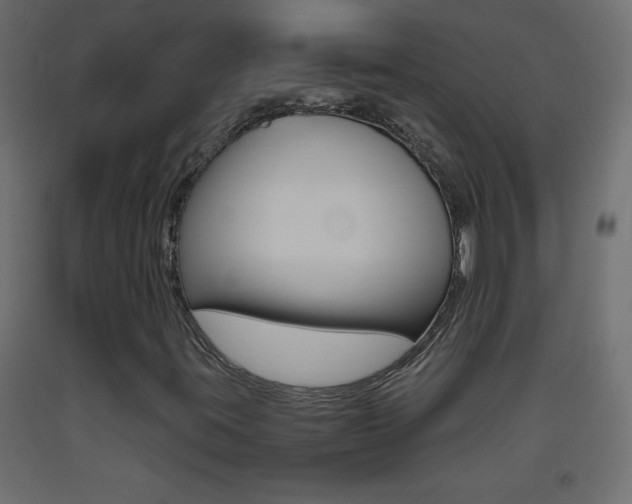 X0000093441395200710120936