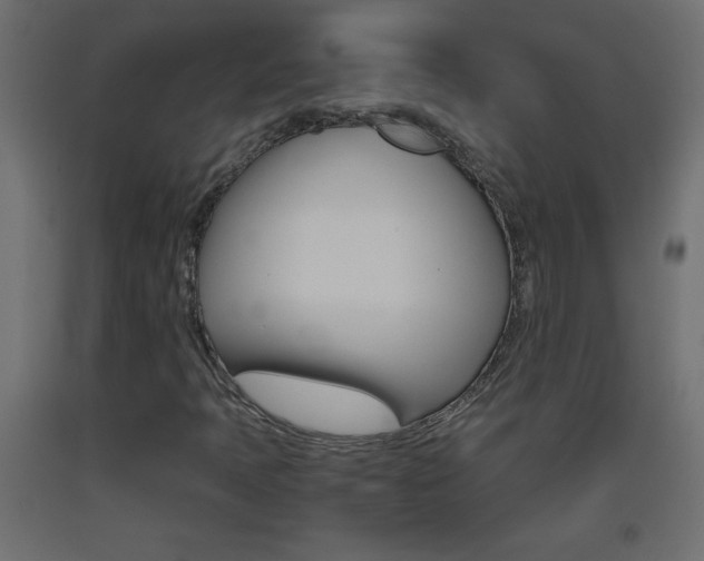 X0000093441397200710120936