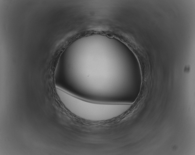 X0000093441398200710120936