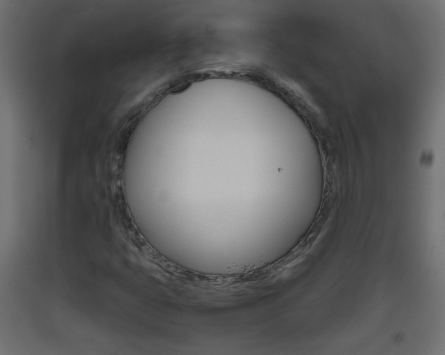 X0000093441399200710120936