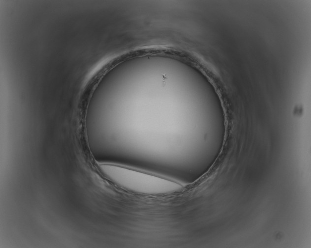 X0000093441400200710120936