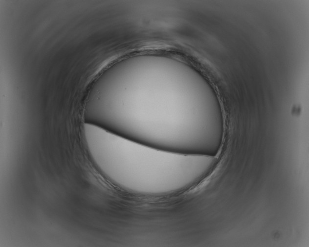 X0000093441401200710120936