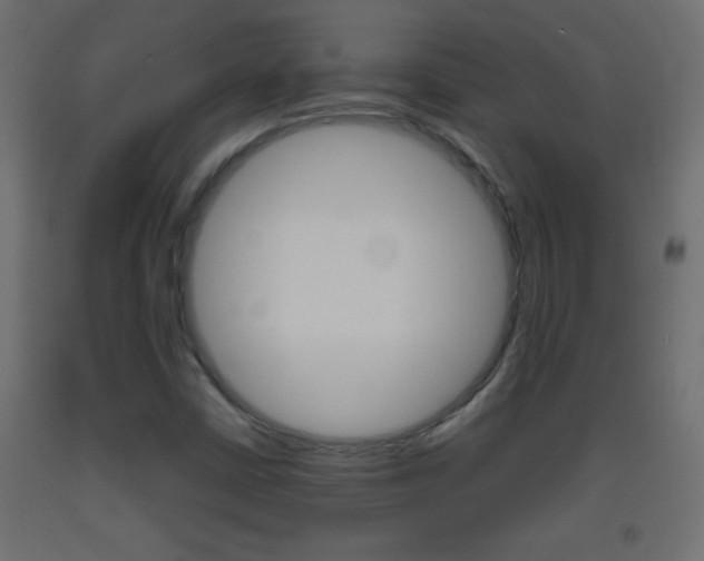 X0000093441402200710120936