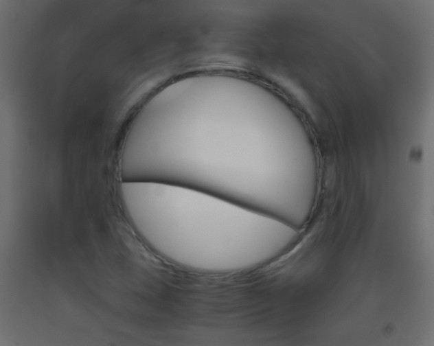 X0000093441407200710120936