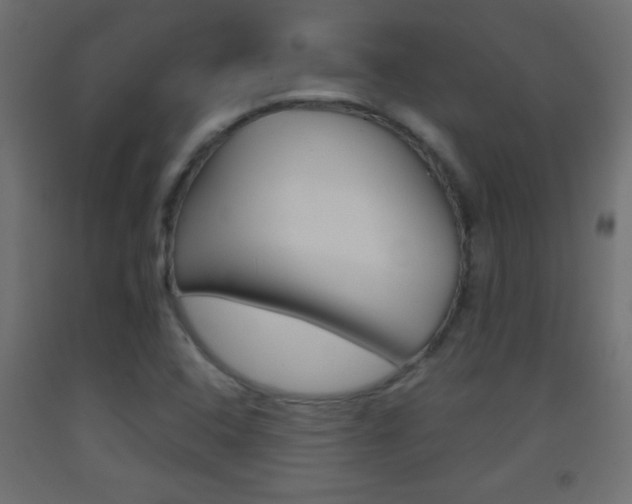 X0000093441408200710120936