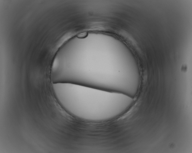 X0000093441409200710120937