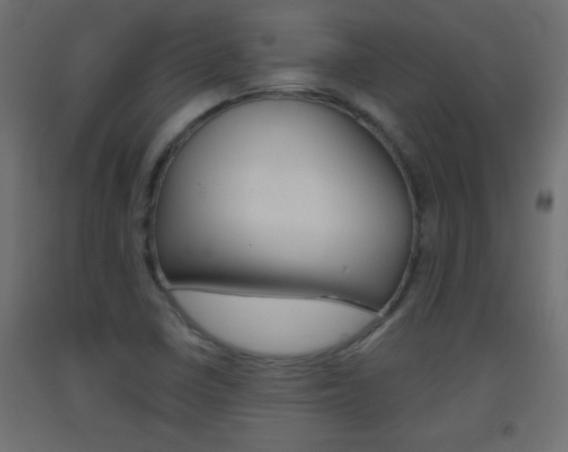 X0000093441410200710120937