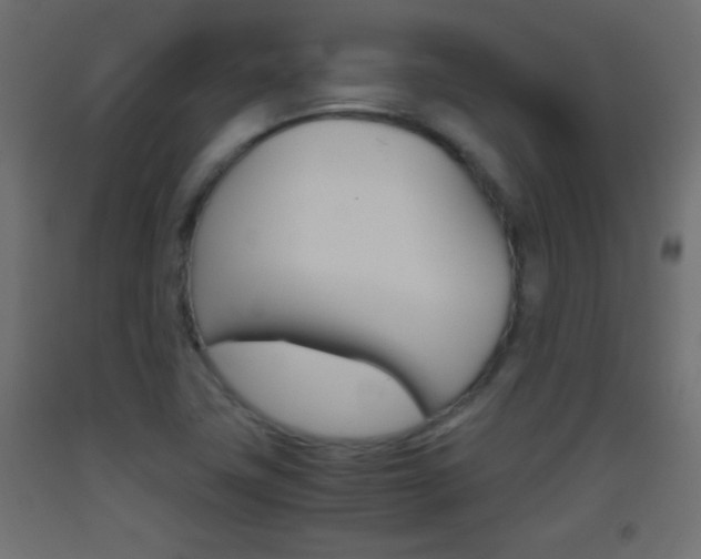 X0000093441411200710120937