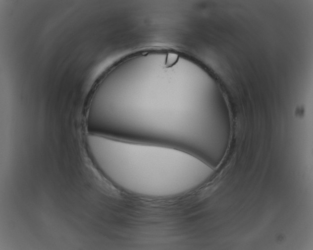 X0000093441412200710120937