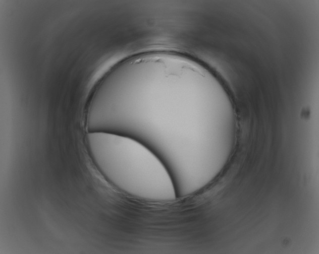 X0000093441415200710120937