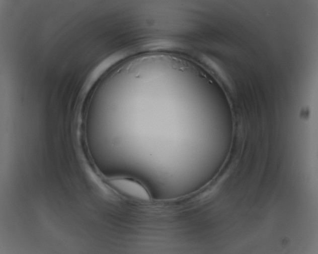 X0000093441418200710120937