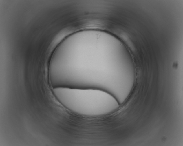 X0000093441419200710120937