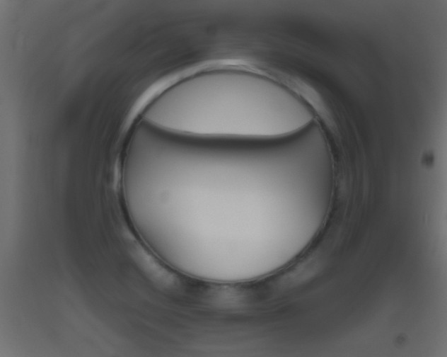 X0000093441420200710120937
