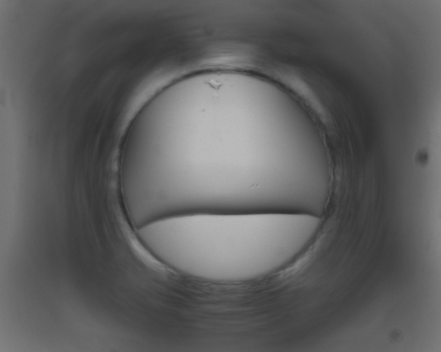 X0000093441421200710120937