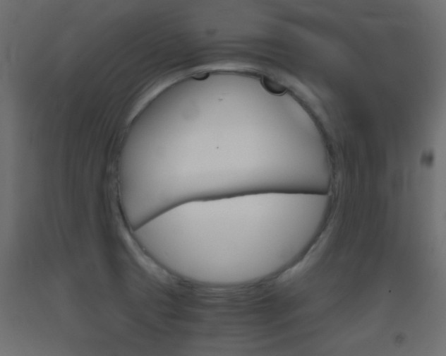 X0000093441425200710120937