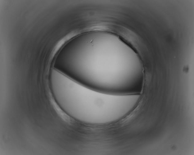 X0000093441426200710120937