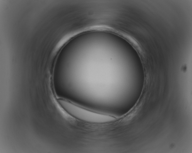 X0000093441430200710120937