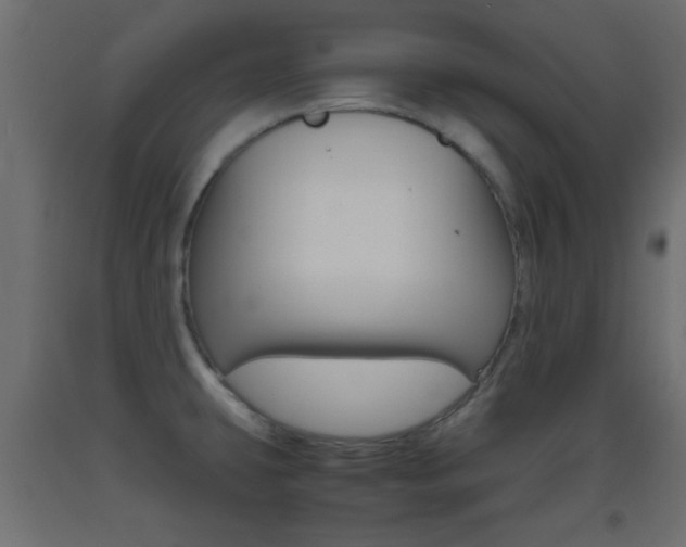 X0000093441431200710120937