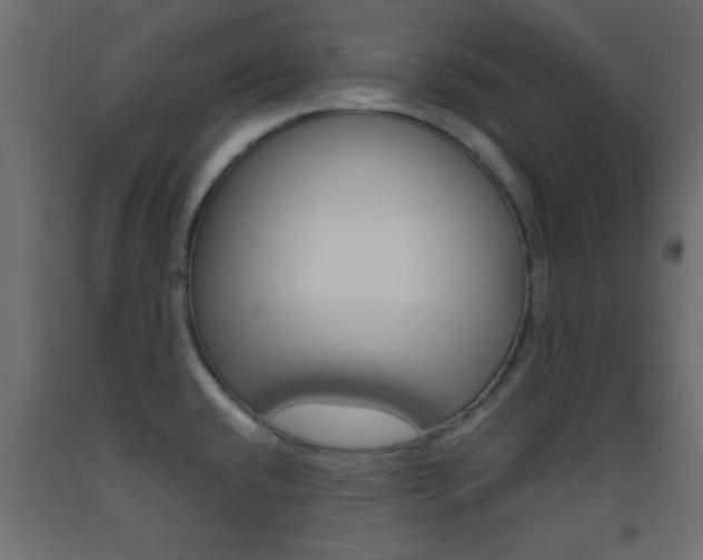 X0000093441432200710120937