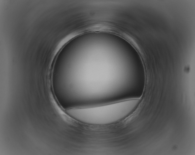 X0000093441434200710120937