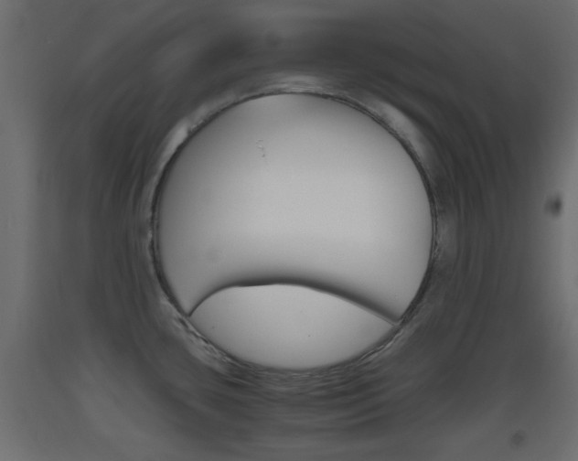 X0000093441435200710120937