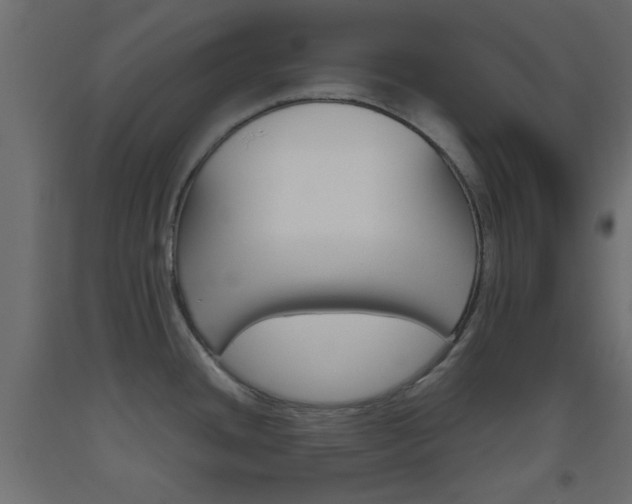 X0000093441436200710120937