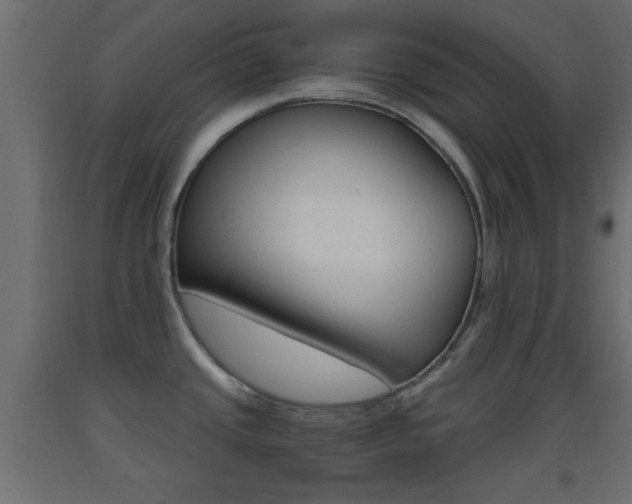 X0000093441437200710120937