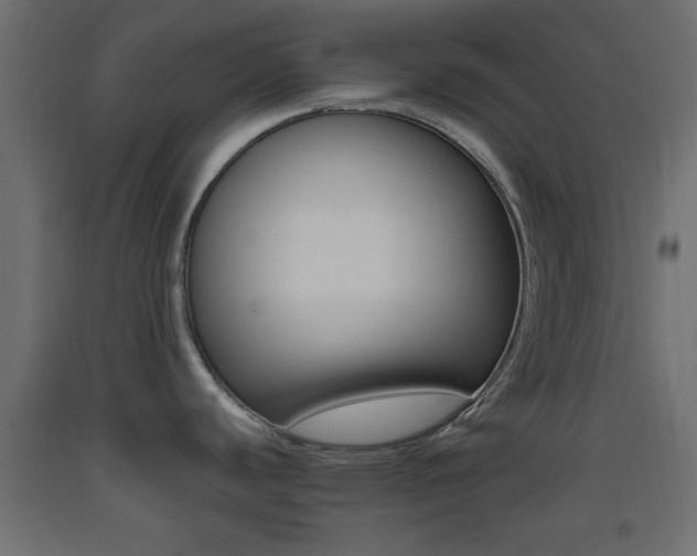 X0000093441440200710120937