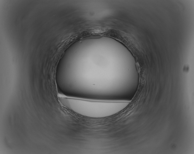 X0000093441441200710120936