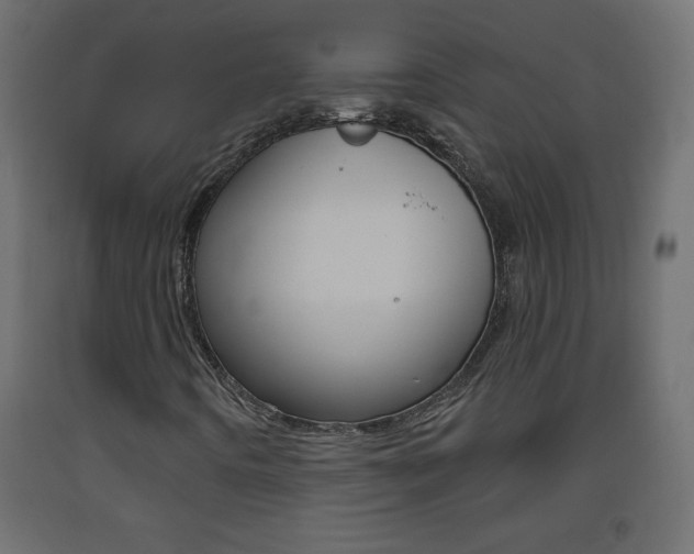 X0000093441442200710120936