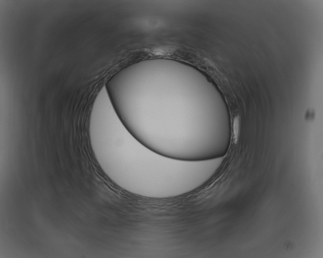 X0000093441443200710120936