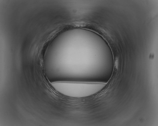 X0000093441444200710120936